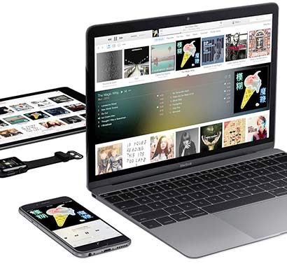 Восстановление данных с айфонов, айпадов, макбуков в Таганроге